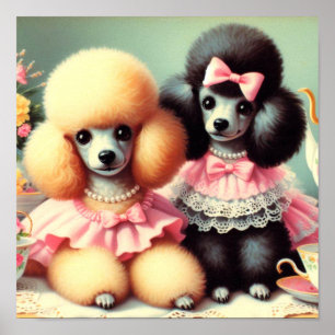 Niedliche Poodle-Illustration Poster
