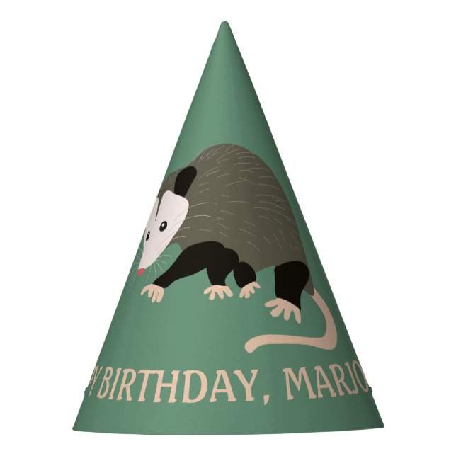 Niedliche Possum Illustration Light Green Personal Partyhütchen (Vorderseite)