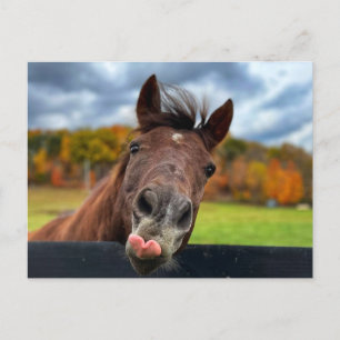 Niedliche Postkarte