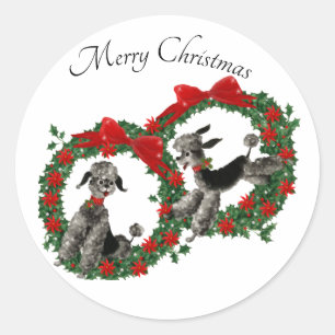 Niedliche Pudel in WeihnachtsstechpalmeWreaths Runder Aufkleber