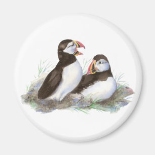 Niedliche Puffins, Ozean-Vogel, Strand, Natur Magnet