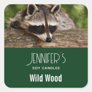 Niedliche Raccoon-Ruhe auf einem Handwerksgeschäft Quadratischer Aufkleber