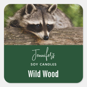 Niedliche Raccoon-Ruhe auf einem Handwerksgeschäft Quadratischer Aufkleber