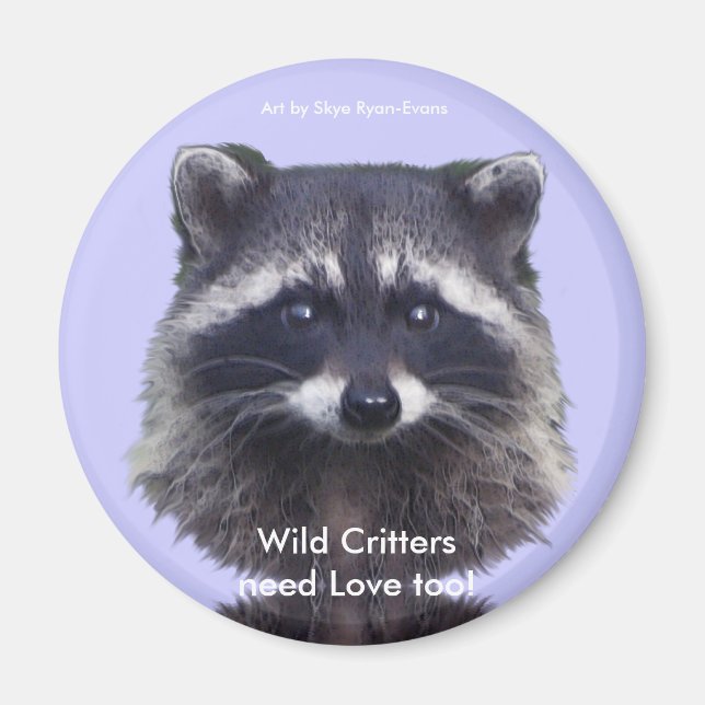 Niedliche Raccoon Wildlife Magnete (Vorne)