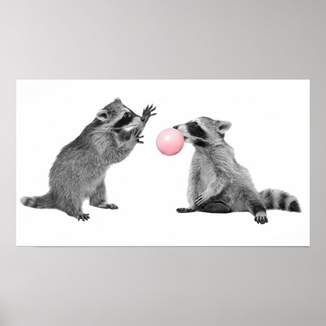 Niedliche Raccoons Blubble Gum Kinderzimmer Child Poster (Vorne)