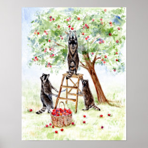Niedliche Raccoons im Apple Orchard Poster