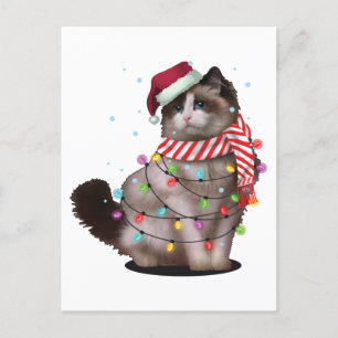 Niedliche Ragdoll Katze Lover Weihnachten Weihnach Postkarte