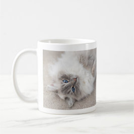 Niedliche Ragdoll Katzen-Tasse Tasse