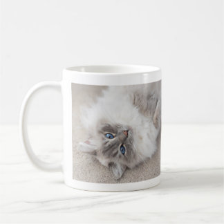 Niedliche Ragdoll Katzen-Tasse Tasse