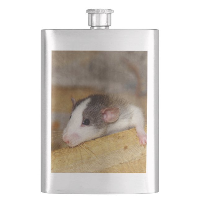 Niedliche Ratte Flachmann (Vorderseite)