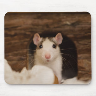 Niedliche Ratte Mousepad