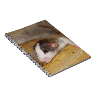 Niedliche Ratte Notizblock