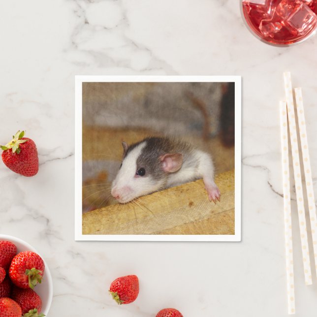 Niedliche Ratte Serviette (Beispiel)