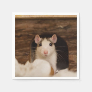 Niedliche Ratte Serviette