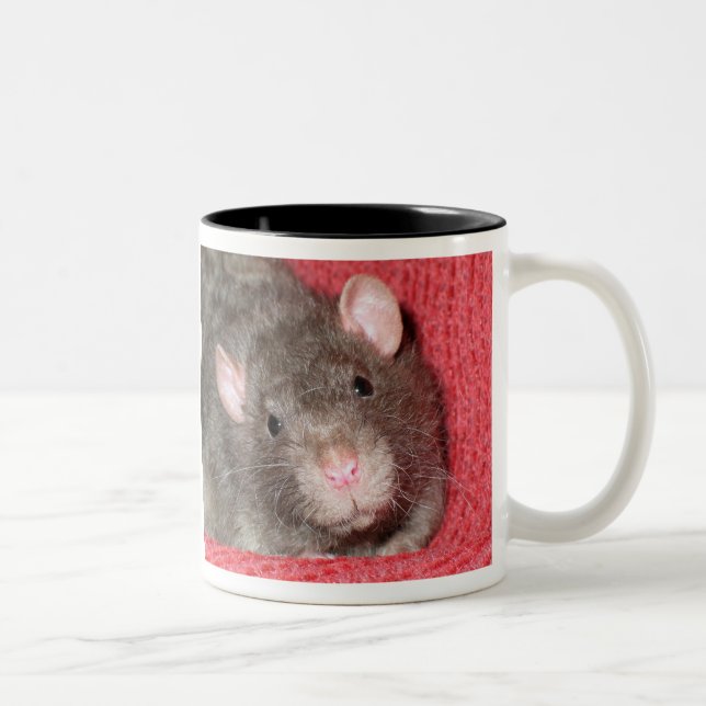 Niedliche Ratte Zweifarbige Tasse (Rechts)