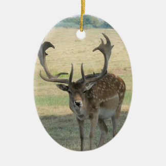 Niedliche Rentiere Keramik Ornament