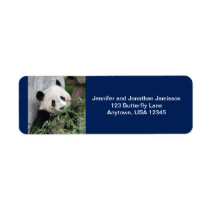 Niedliche Riesen-Pandas, Dunkelblau, Rücksendeadre