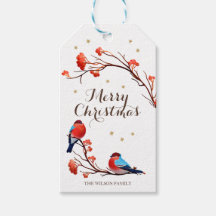 Niedliche Robin Birds auf der Roten Berry Branch W