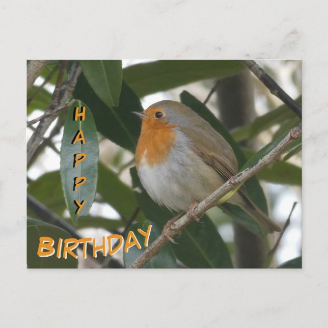 Niedliche Robin & Green Blätter Happy Birthday Pos Postkarte (Vorderseite)