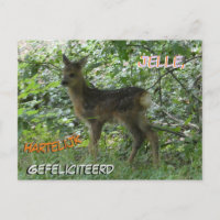 Niedliche Roh Deer im Wald Geburtstagskarte