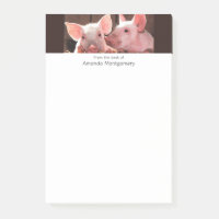 Niedliche rosa Ferkel Tierfotos