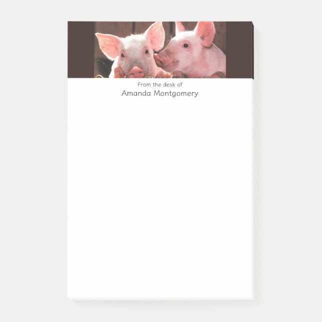 Niedliche rosa Ferkel Tierfotos Post-it Klebezettel (Vorderseite)