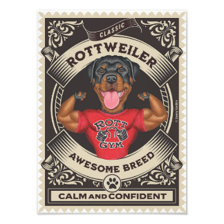 Niedliche Rottweiler-Drehungen mit Muskeln Fotodruck