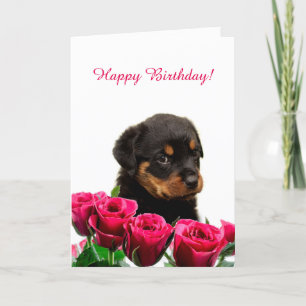 Niedliche Rottweiler Welpe Rote Rosen Happy Birthd Karte