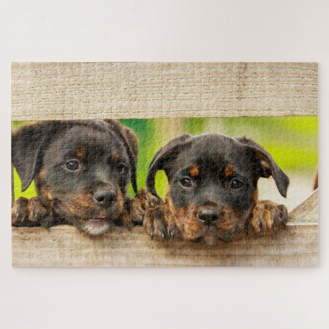 Niedliche Rottweiler Welpen Hunde Tierart Puzzle (Horizontal)