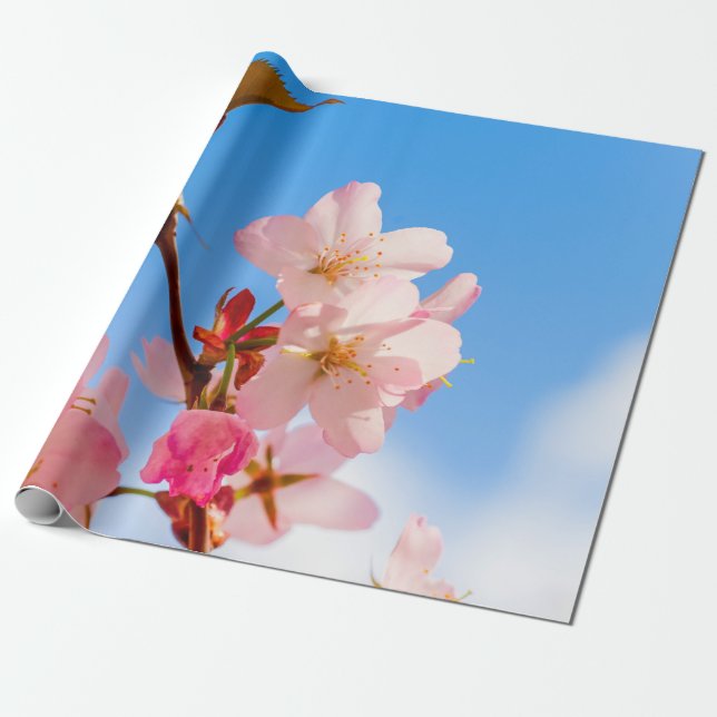 Niedliche Sakura-Blume für die Frühlingssonne Geschenkpapier (Ungerollt)
