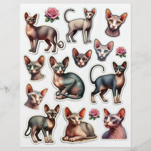 Niedliche Sammlung haarloser Katzenbilder