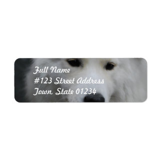 Niedliche Samoyed-Mailing-Labels
