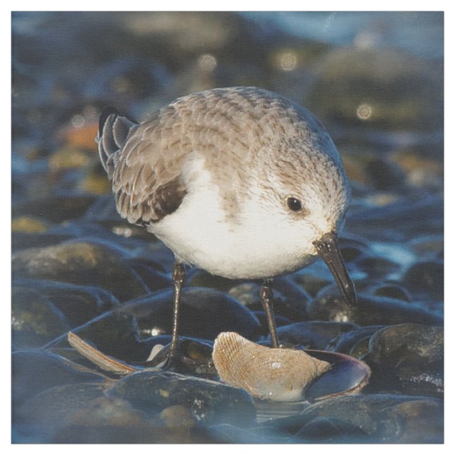 Niedliche Sanderling Sandpiper Shorebird Dines on  Stoff (Muster)