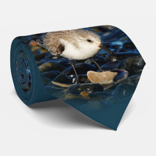 Niedliche Sanderling Shorebird Dines auf Clam am S Krawatte