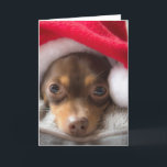 Niedliche SanktChihuahua Feliz Navidad Karte<br><div class="desc">Löschen Sie oder benutzen Sie die niedliche bereits eingeschlossene Seil-Schriftartaufschrift. Von unserem Doghouse zu Ihrem Doghouse,  Feliz Navidad.</div>