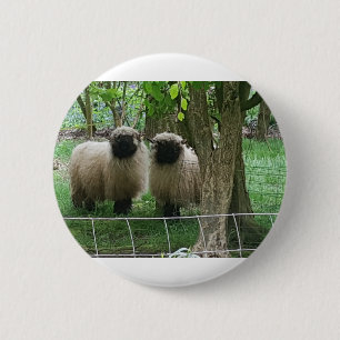 Niedliche Schafe Button