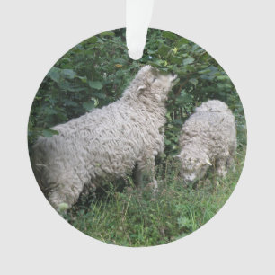 Niedliche Schafe essen Blätter Akrylverzierung Ornament