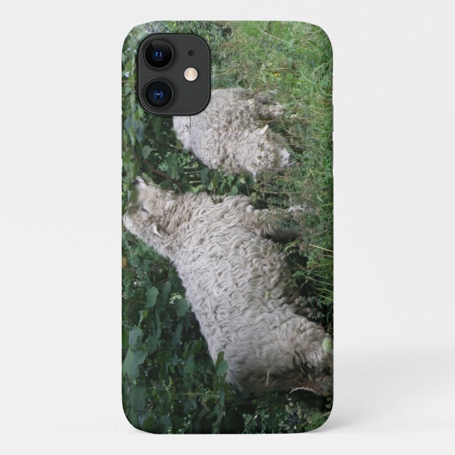 Niedliche Schafe essen Blätter iPhone Case (Rückseite)