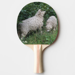 Niedliche Schafe essen Blätter Ping Pong Paddel Tischtennis Schläger