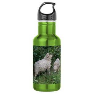 Niedliche Schafe essen Blätter Wasser Flasche Edelstahlflasche