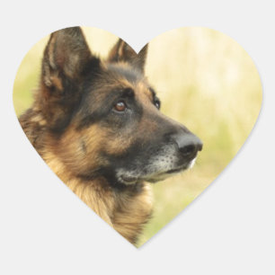 Niedliche Schäferhund-Aufkleber Herz-Aufkleber