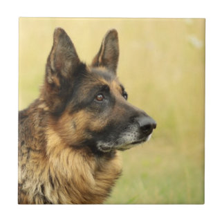 Niedliche Schäferhund-Fliese Fliese