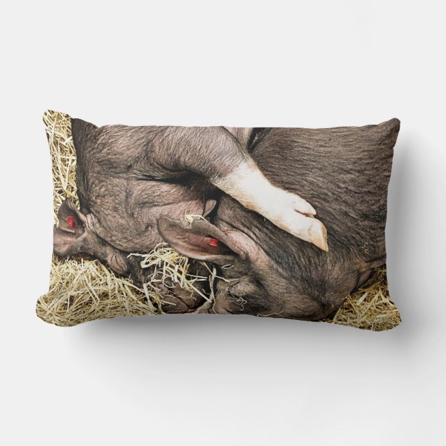 NIEDLICHE SCHLACHTSCHWEINE LENDENKISSEN (Vorderseite)