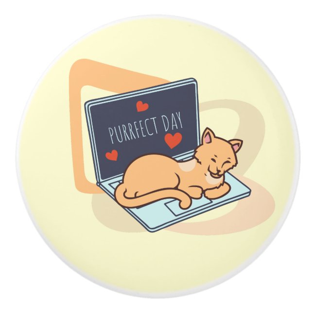 Niedliche Schlafcomputer Keramikknauf (Vorderseite)