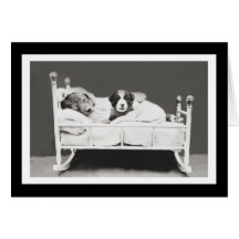 Niedliche Schlafhunde von Harrier Whittier Frees