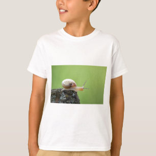 Niedliche Schnecke auf Rand mit grünem Hintergrun T-Shirt