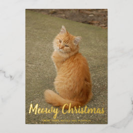 Niedliche Schneeflocken Cat Foto Meowy Weihnachten Folien Feiertagskarte