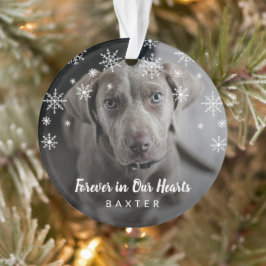 Niedliche Schneeflocken Hund Foto Haustier Memoria Ornament