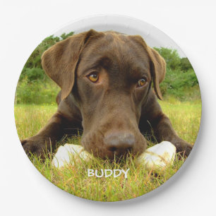Niedliche Schokolade Labrador Custom Pappteller