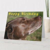 Niedliche Schokolade Labrador Hund - Happy Birthda